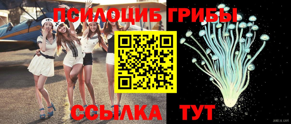 Лыткарино  Галлюциногенные грибы Psilocybine cubensis  Вход с VPN  Псилоцибиновые грибы мухоморы 