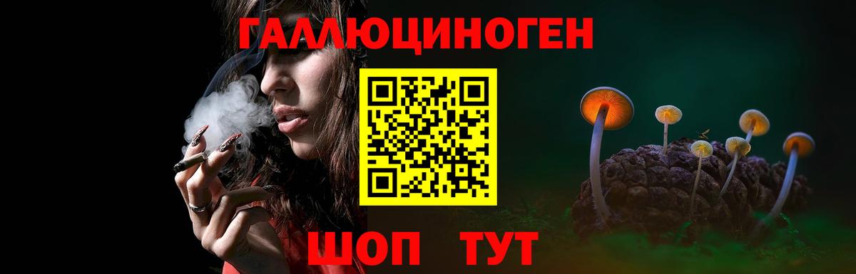Псилоцибиновые грибы мицелий Лыткарино